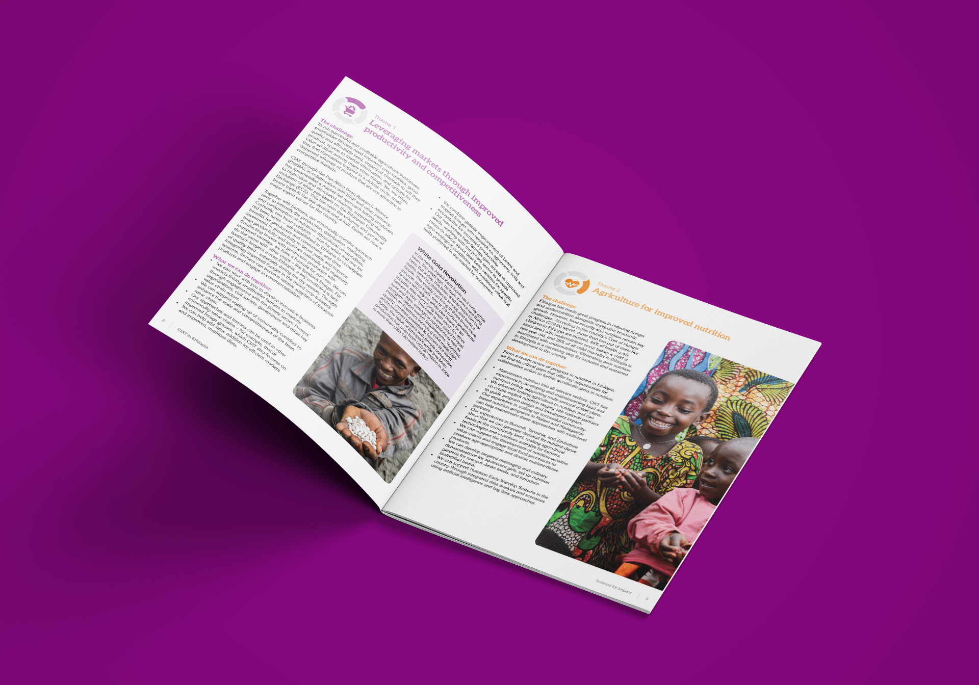 Editorial Spreads slide 1