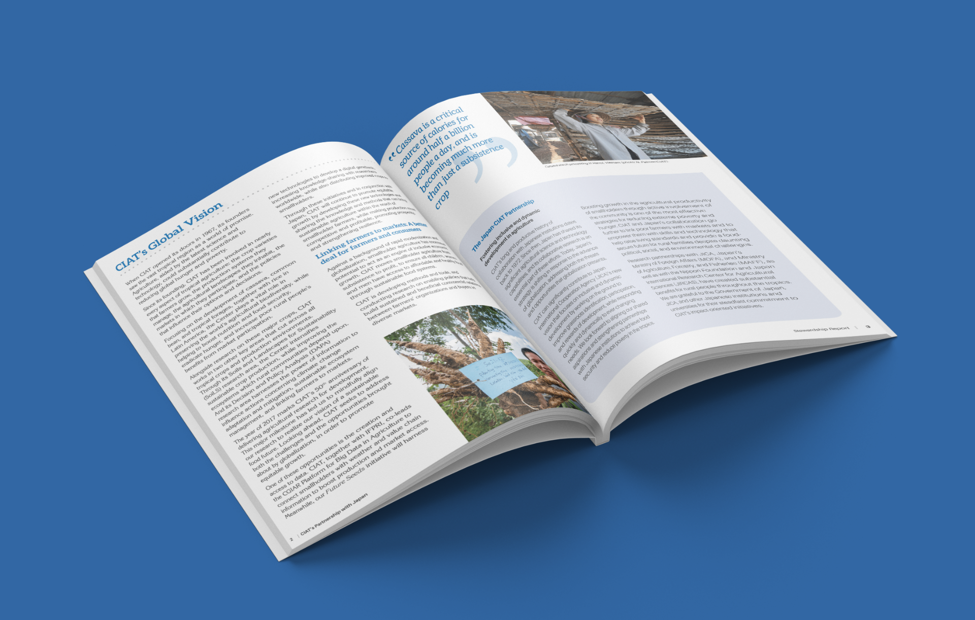Editorial Spreads slide 1