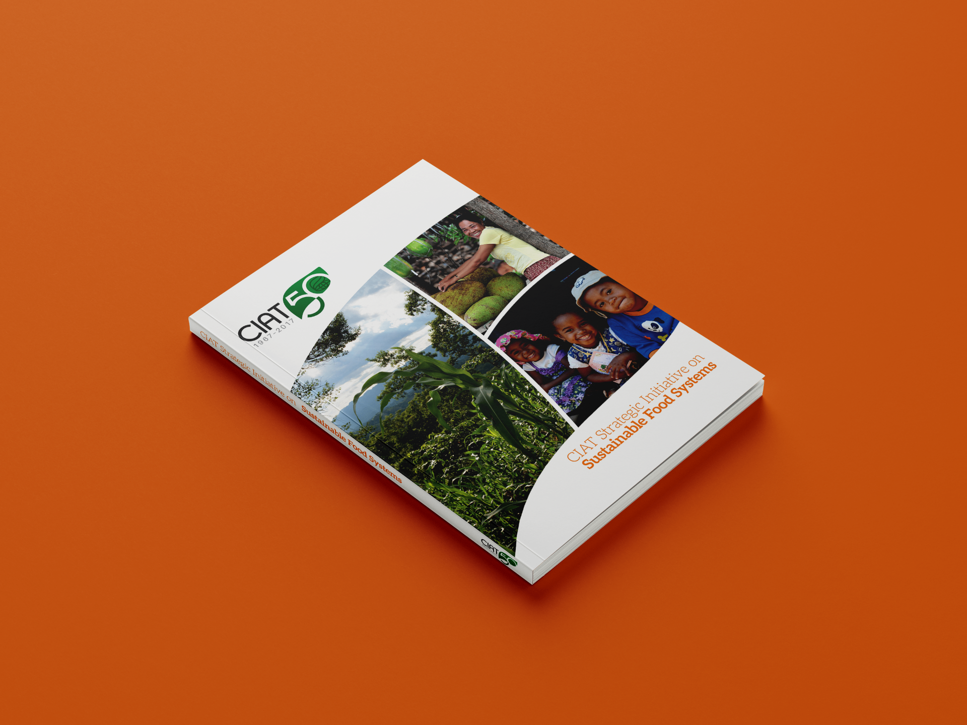 CIAT Strategic Initiative on Sustainable Food Systems