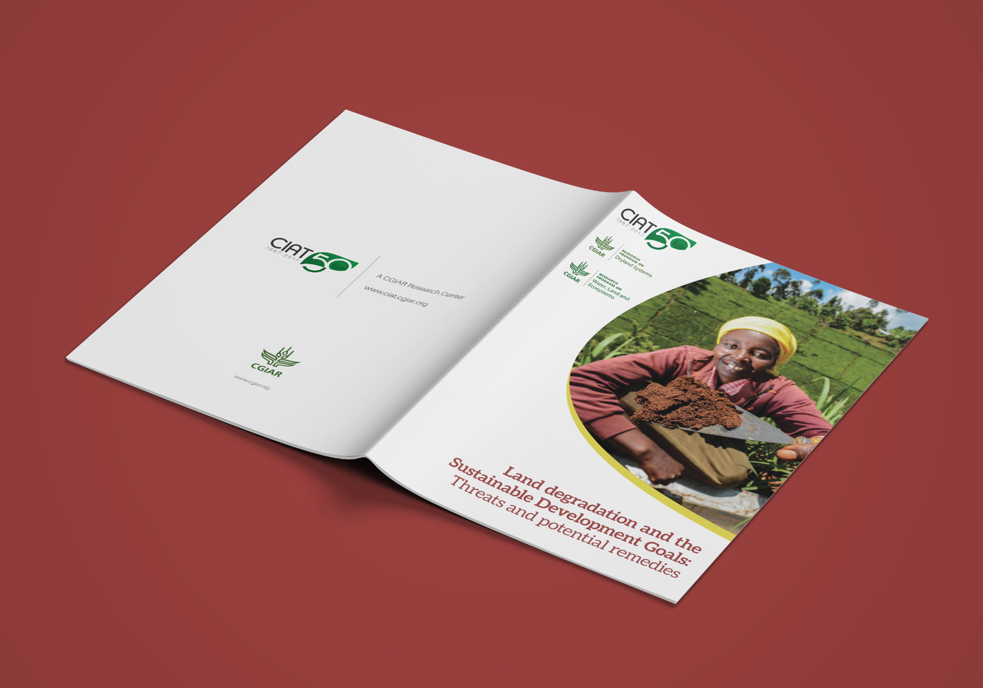 Land degradation and the Sustainable Development Goals